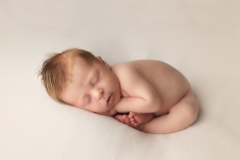 boy newborn portrait